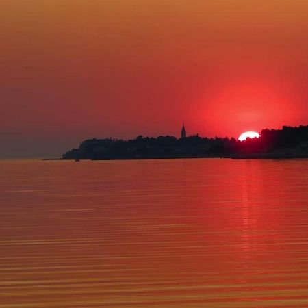 Apartment Novigrad City Centre Exterior foto