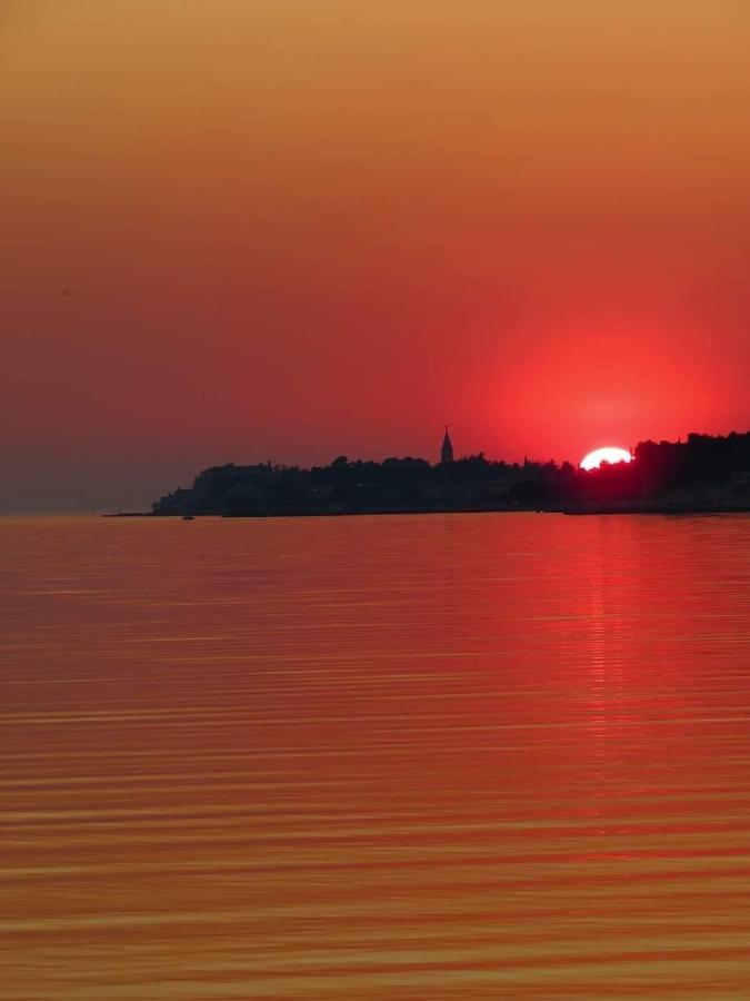 Apartment Novigrad City Centre Exterior foto